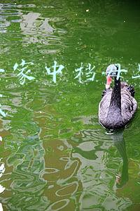 加盟一家中档母婴店要多少钱加盟条件是什么-母婴店加盟费一般多少钱