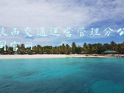 陕西交通运营管理分公司官网