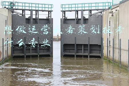想报考师范专业怎么选(学生想学师范？务必考虑这四个“含金量”高的专业，发展前景好)