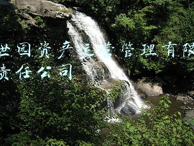 世园资产运营管理有限责任公司