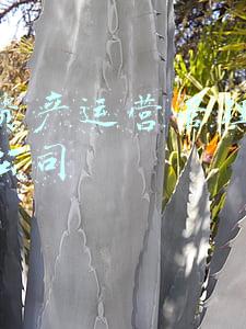 世园资产运营管理有限责任公司