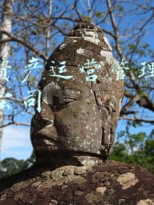世园资产运营管理有限责任公司