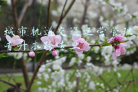 城市轨道交通专升本可以报什么专业(考评结合、以考代评，交通工程专业今后获取相应层级职务更便捷)