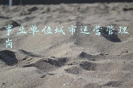 事业单位城市运营管理岗