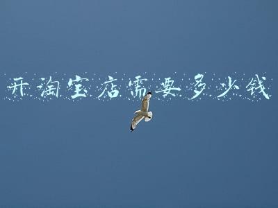 淘宝开店收费标准_开个淘宝店要多少钱