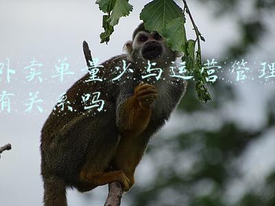 外卖单量少与运营管理有关系吗