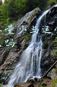 外卖单图片(外卖小哥送单超时坐街头痛骂自己，哭诉：无法面对垂死挣扎的儿子)