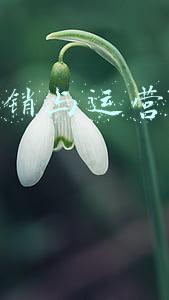 市场营销与运营管理专业博士