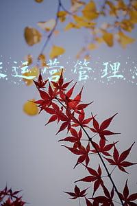 易代账运营管理系统登录