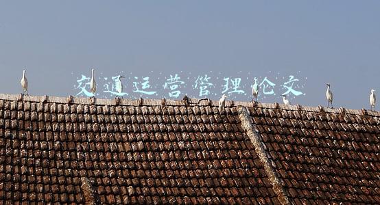 轨道交通运营管理论文(国际市场上中文推理小说还很少，但中国创作者模仿学习西方日本的阶段已经过去 | 专访)