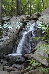 智能垃圾分类运营方案(厦门中环宝智能垃圾分类新模式，助力社区智慧运营)