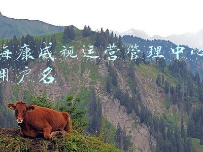 海康威视管理平台授权(海康威视再启分拆上市，海康机器人进入IPO筹备阶段，半年营收超12亿)