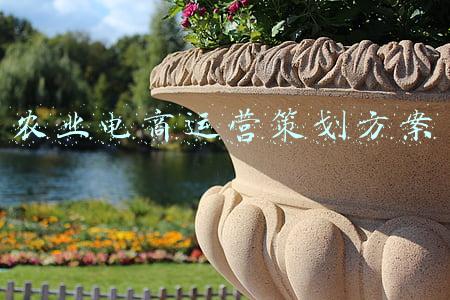 农业电商运营策划方案