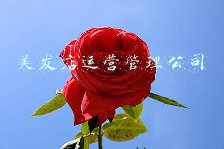 美发店运营管理方式(美发店的经营思路)