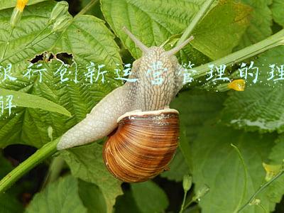 银行创新运营管理的理解