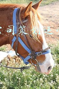 软装公司策划运营计划书