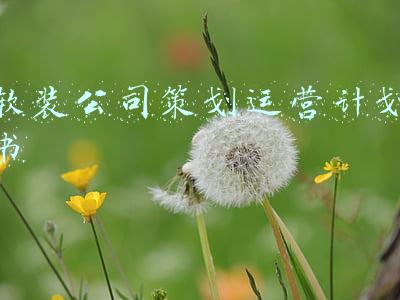 软装公司策划运营计划书