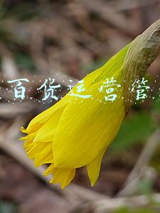 银泰百货购物网(银泰百货春节门店不打烊，500场新年活动、超三万导购恭迎你)