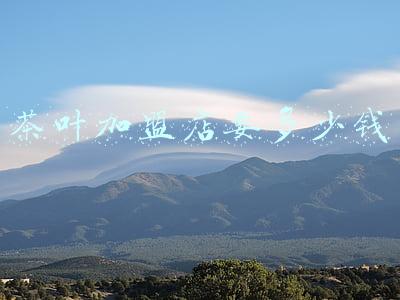 茶叶门店加盟费多少钱《加盟茶叶店要多少钱》