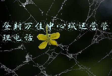 登封市万佳中心城(怎么回事？登封中岳大街“大宇城”变身“万佳中心城”…)