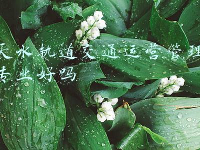 天水轨道交通运营管理专业好吗