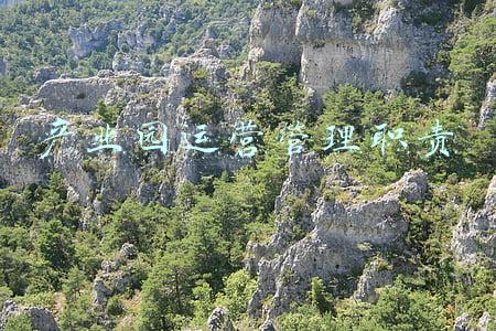 产业园运营管理手册(干货收藏 | 产业园典型业务流程管理说明)