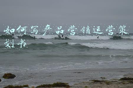 如何写产品营销运营策划书