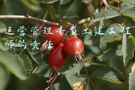 运营管理专员土建工程师的责任
