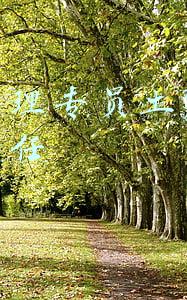 工程主管如何管理团队(一人之下｜简析曲彤管理上根器的制度，“项目经理制”乃其中之一)