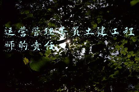 运营管理专员土建工程师的责任