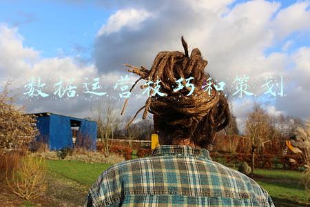 数据运营技巧和策划