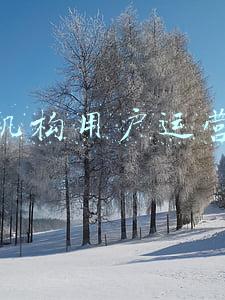 教育机构运营管理手册(掌握这册教育训练手册，下一个千店茶饮连锁就是你)