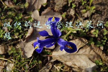 什么是管理决策问题(民主不民主只能由本国人民评判)