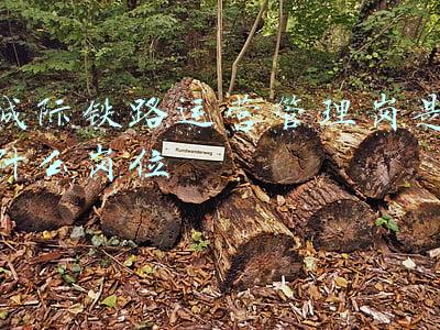 城际铁路运营管理岗是什么岗位