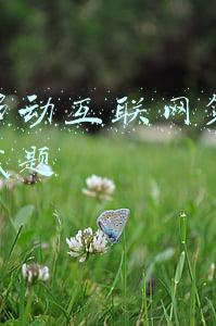 中国移动互联网套餐(上海移动放大招！年度最强宽带优惠来了，109元/月起一个套餐全家搞定)