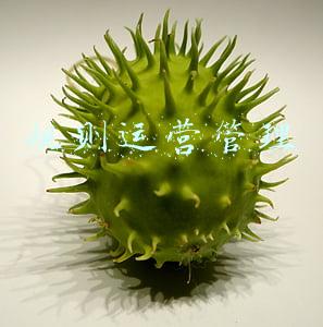 规则运营管理