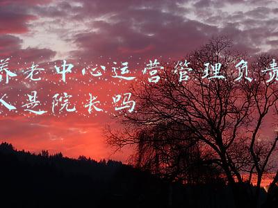 养老中心运营管理负责人是院长吗