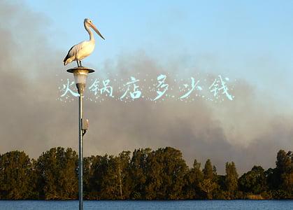 火锅店多少钱一人是什么意思 火锅一个人多少钱