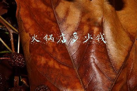 火锅店多少钱一人是什么意思（火锅店多少钱一人）
