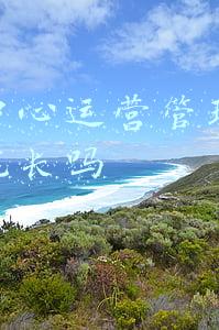 院长负责制制度(公立科研院所为何要建立党委领导下的院所长负责制)