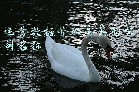 数据公司名称大全(智能科技公司起名，智能科技公司名字大全)