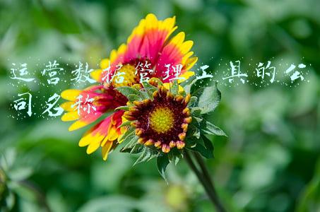 工具名称(农村用来种粮食的12种工具，能叫出名字吗？勾起70-80后多少回忆)