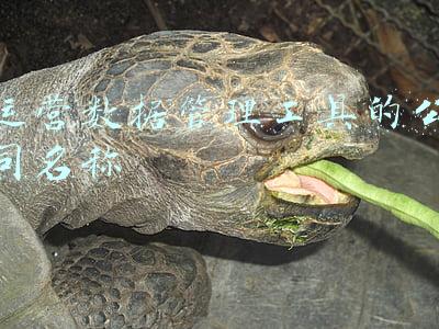 运营数据管理工具的公司名称
