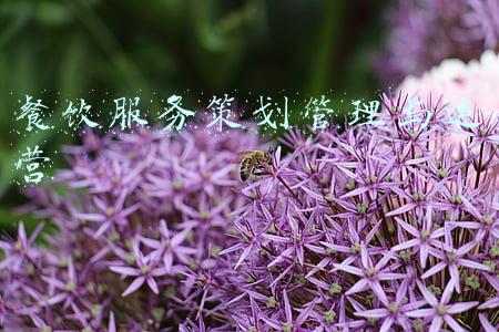 餐饮服务策划管理与运营 餐饮服务策划管理与运营