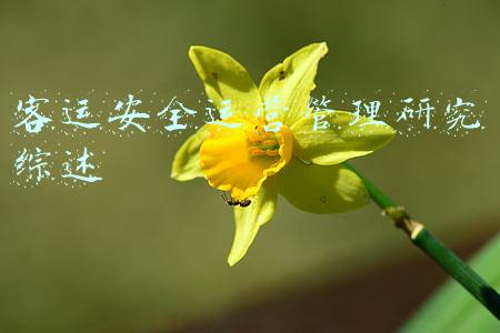 客运安全运营管理研究综述