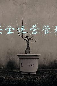 客运安全运营管理研究综述