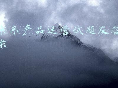 简述京东的运营模式(四大电商运营模式比较，看京东、淘宝、1号店、卓越的区别)