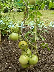 京东产品线的运营策略(新品策略：如何实现新品爆发？以京东电器为例实战方法论)