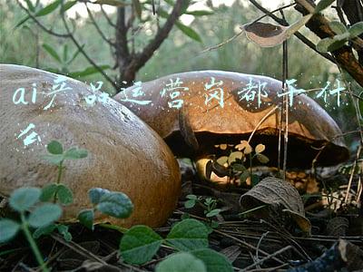 ai产品运营岗都干什么