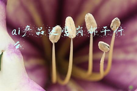 ai产品运营岗都干什么
